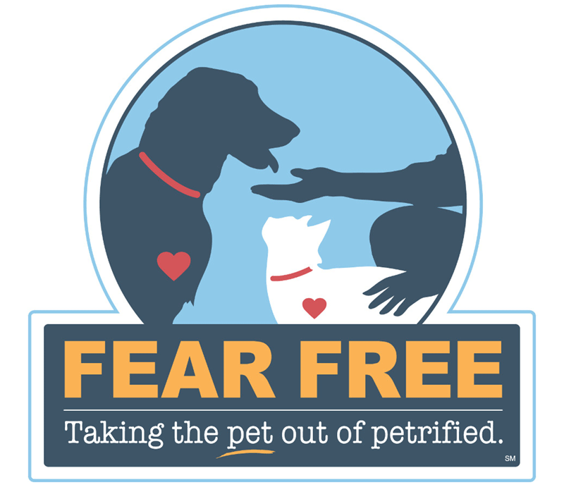 Fear Free Vet